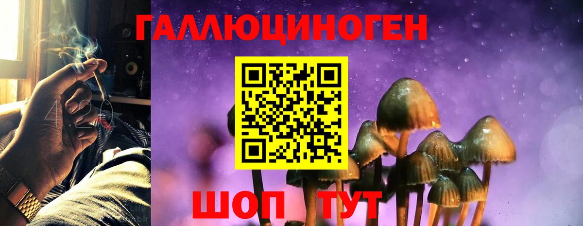 Галлюциногенные грибы мухоморы Заинск